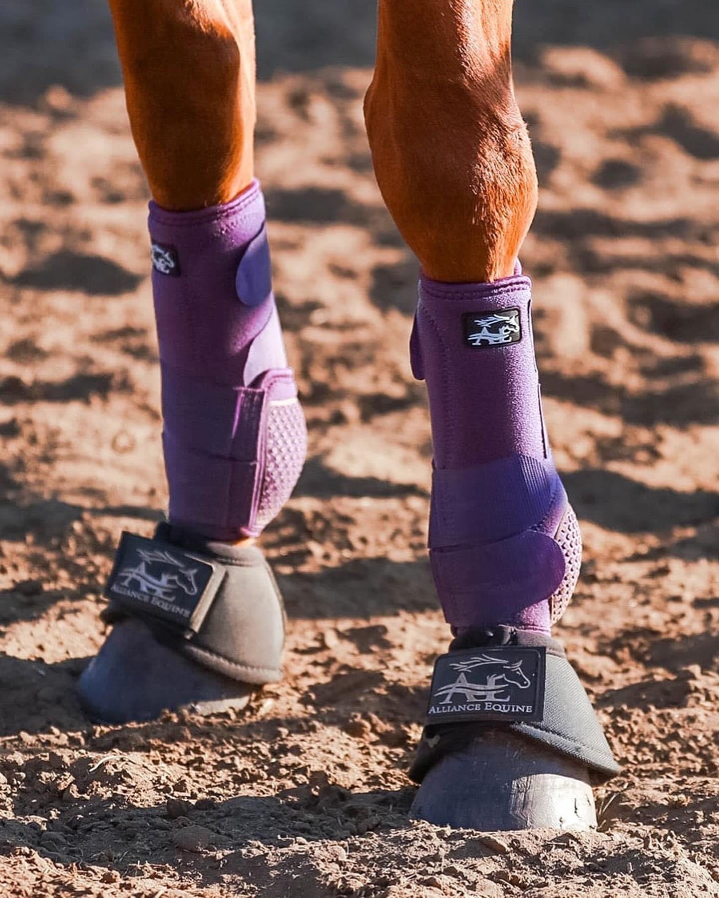 AE Plum Boots