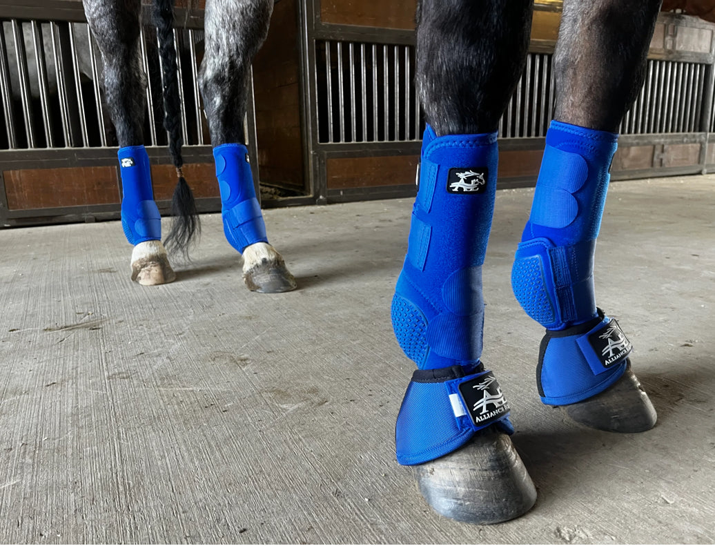AE Royal Blue Boots