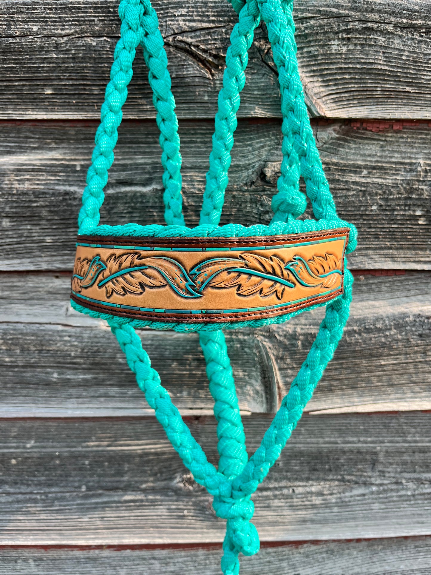 Turquoise and Feathers Regular