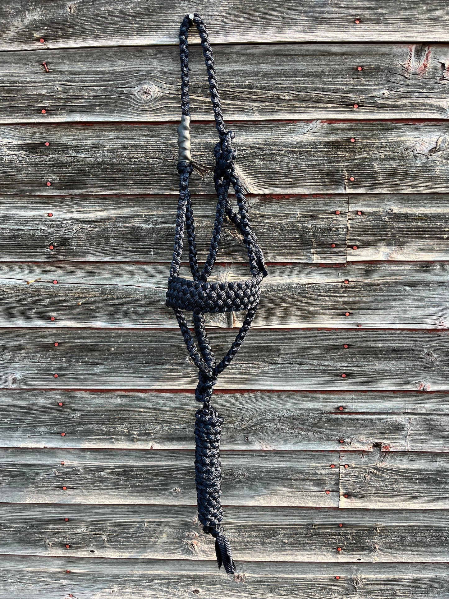 Navy Regular