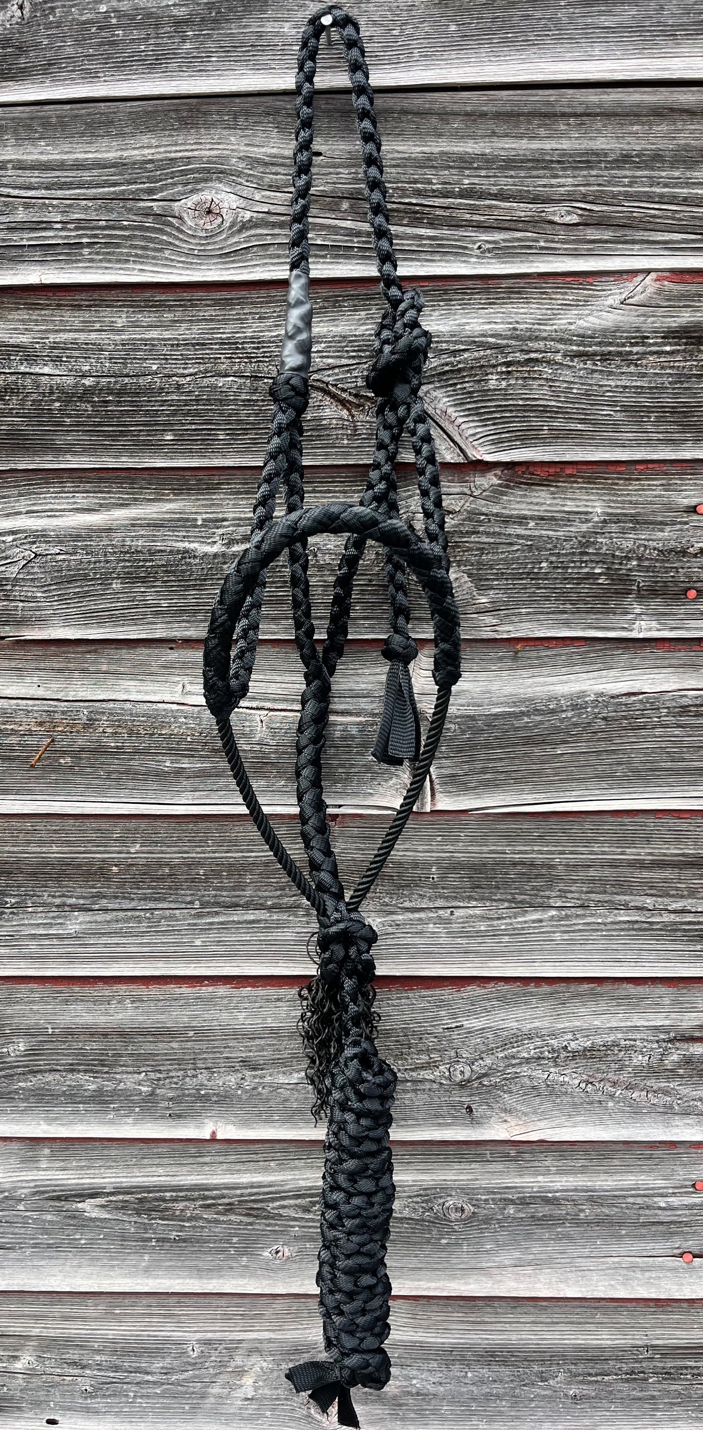 Black Lariat