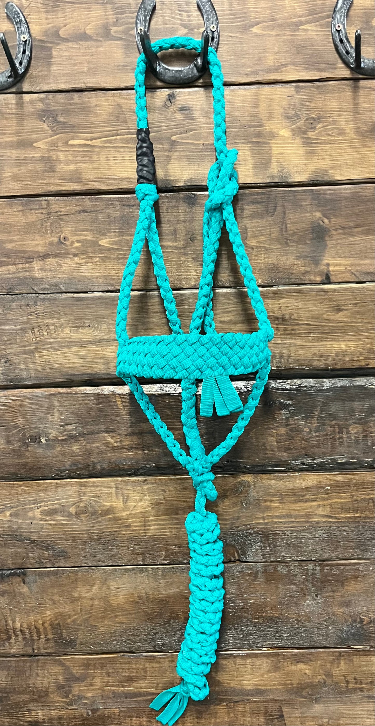 Turquoise Regular