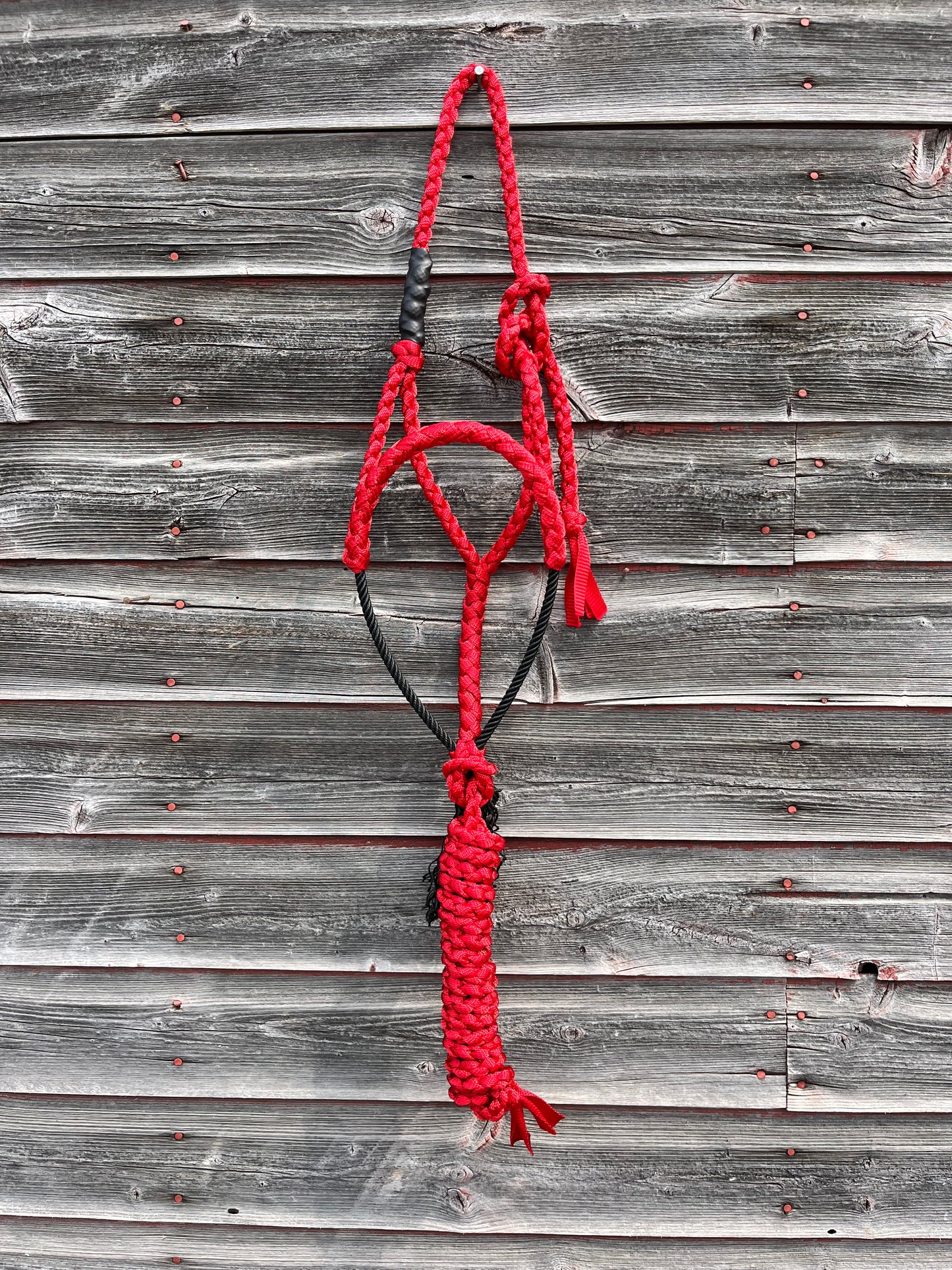 Red Lariat