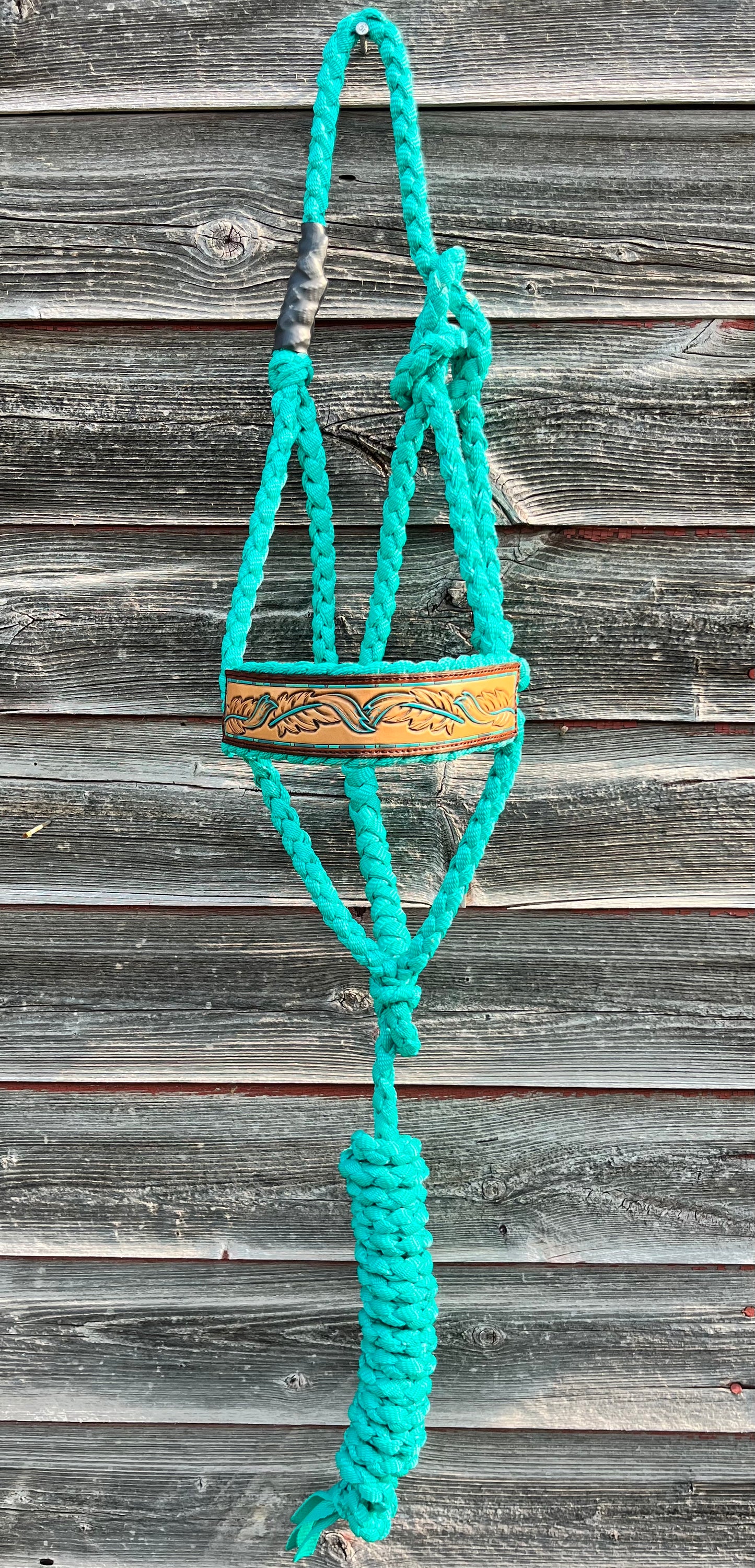 Turquoise and Feathers Regular