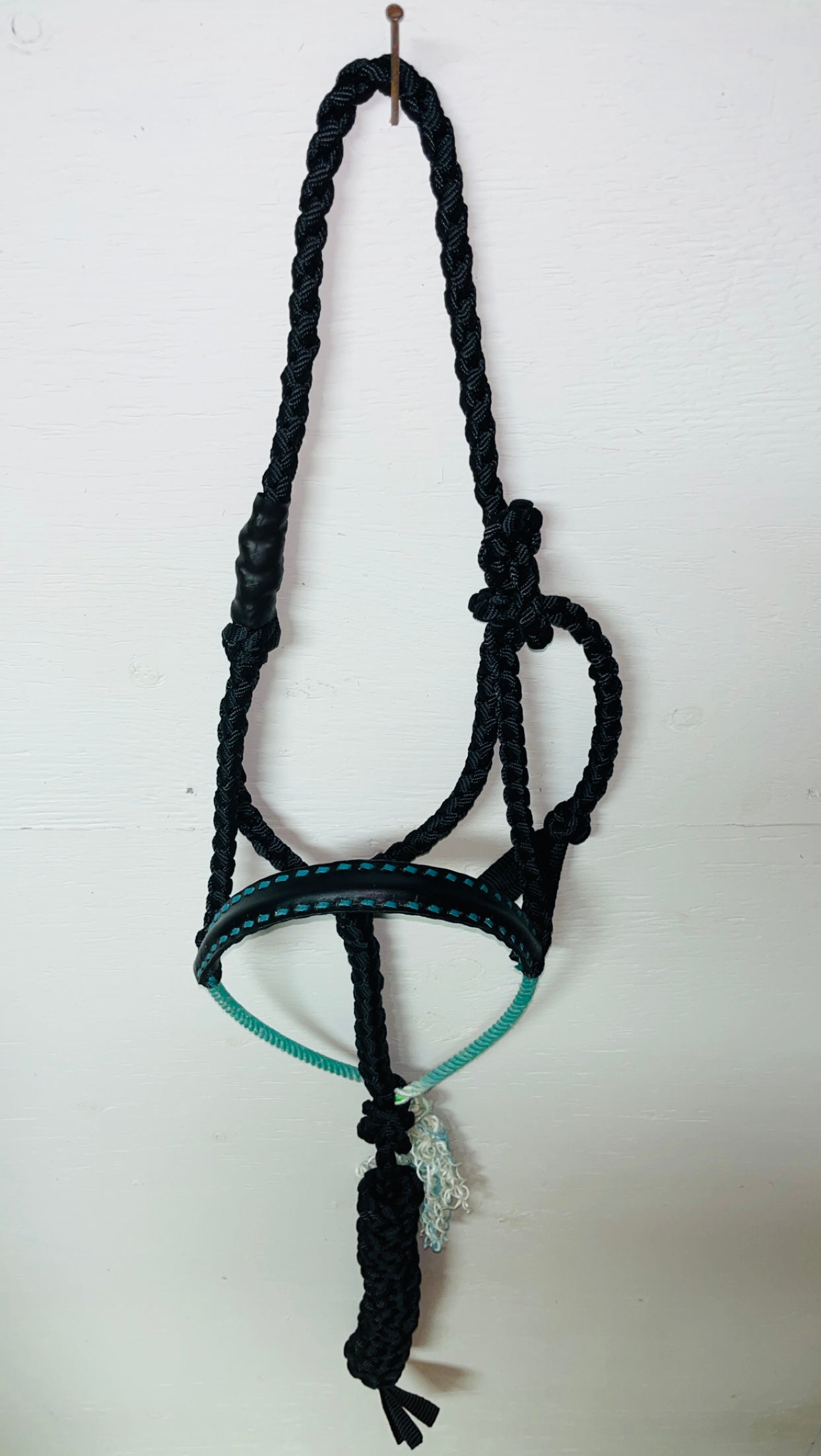 Leather Lariat Halter