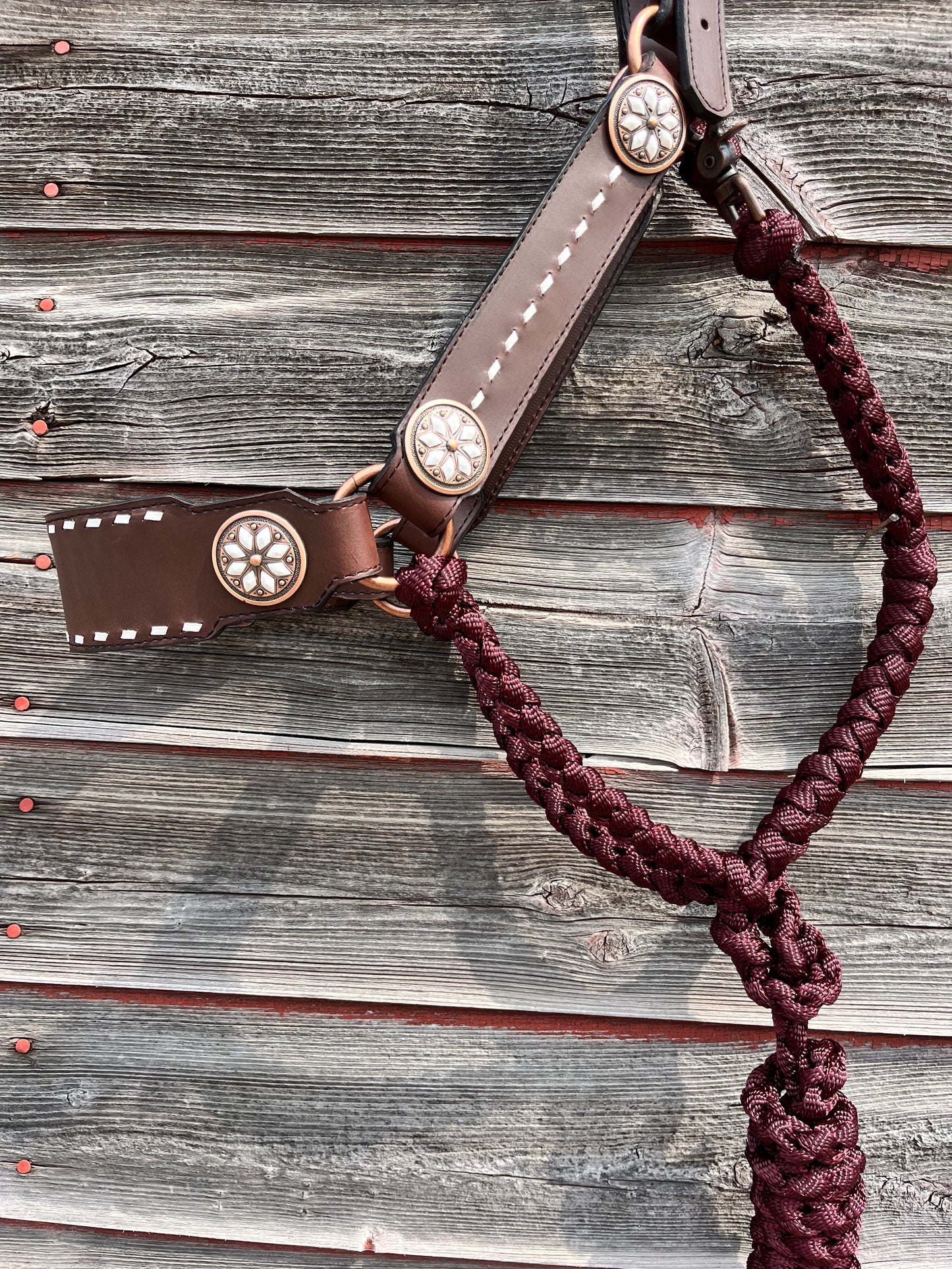 Burgundy Bronc Hybrid