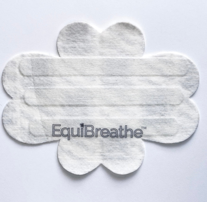 Equibreathe Nasal Strips