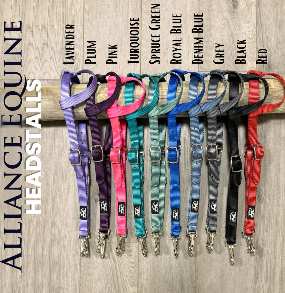 AE Headstalls