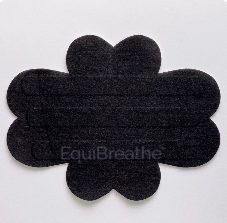 Equibreathe Nasal Strips
