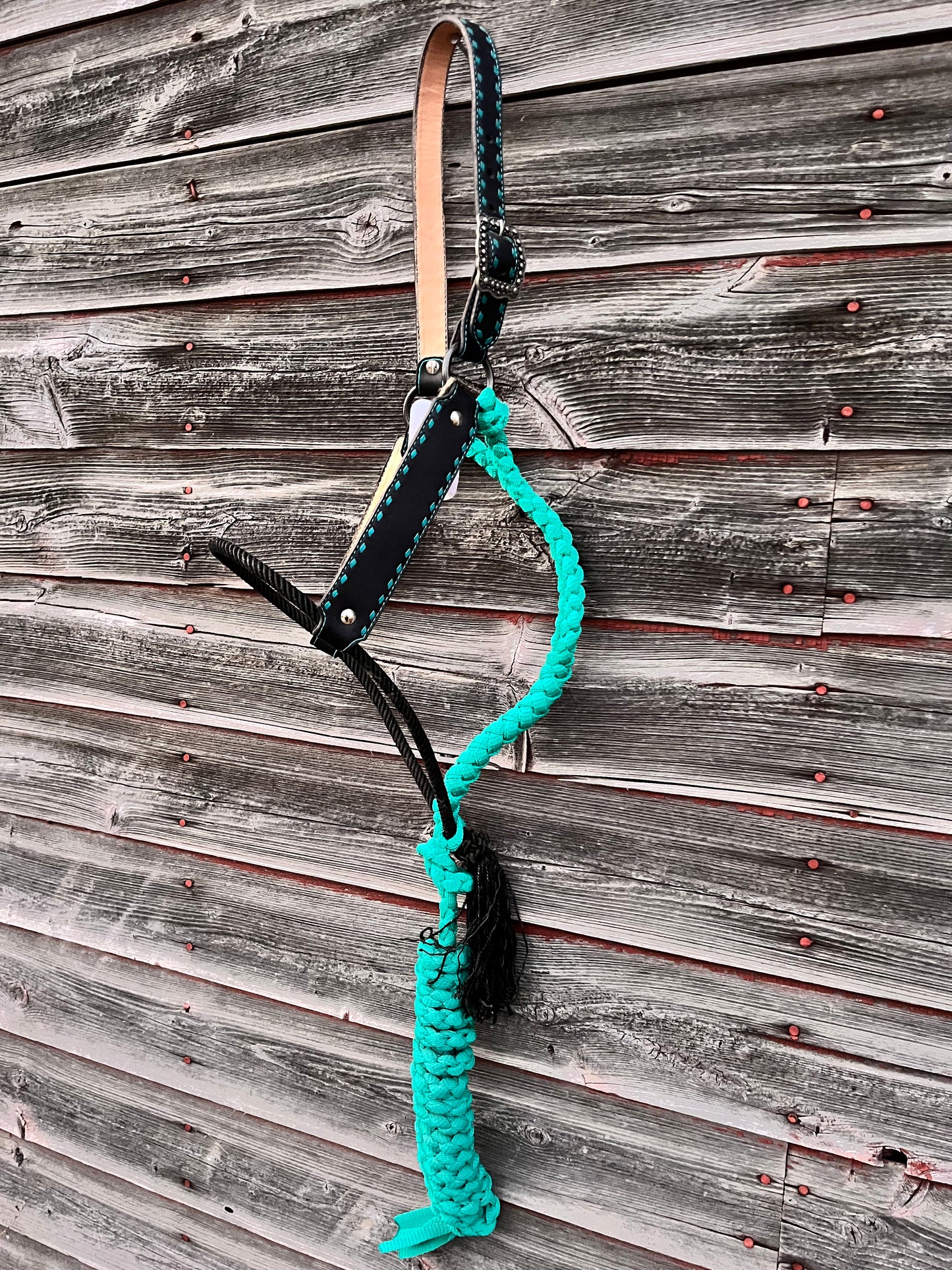 Turquoise and Black Hybrid Halter