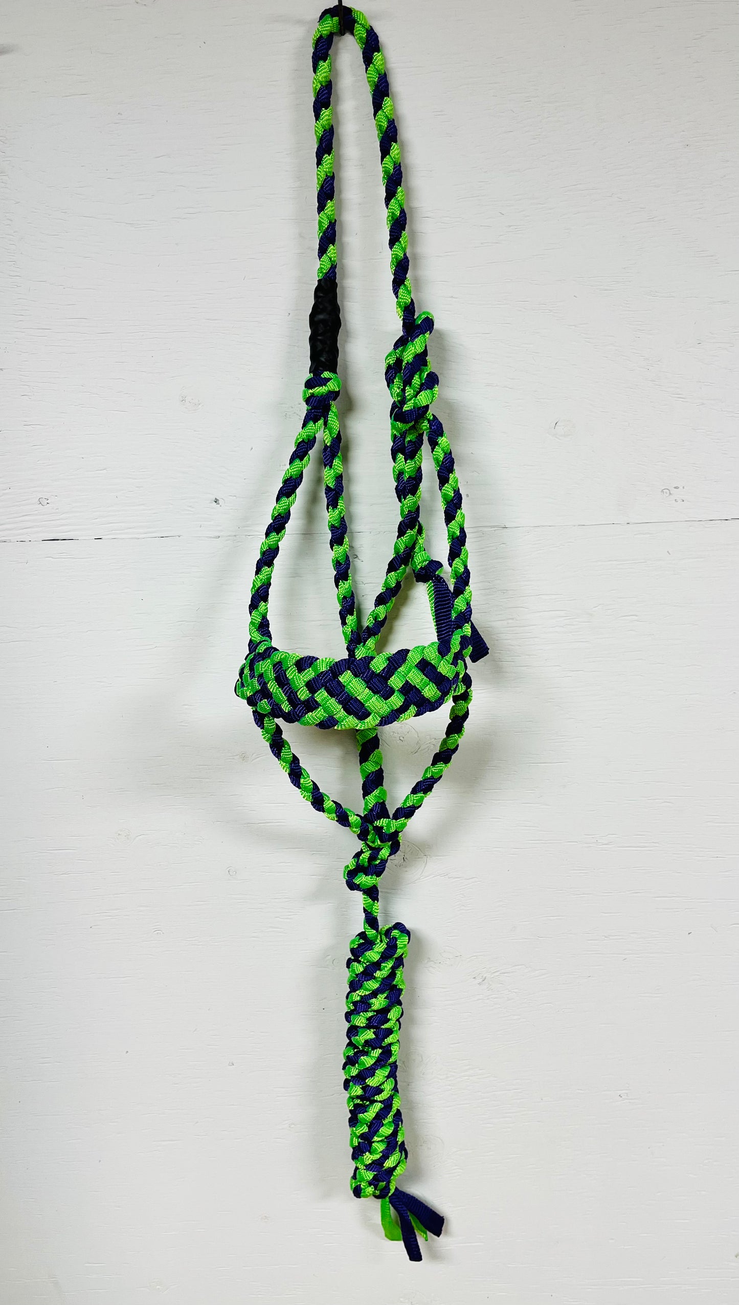 Lime and Purple Regular Halter