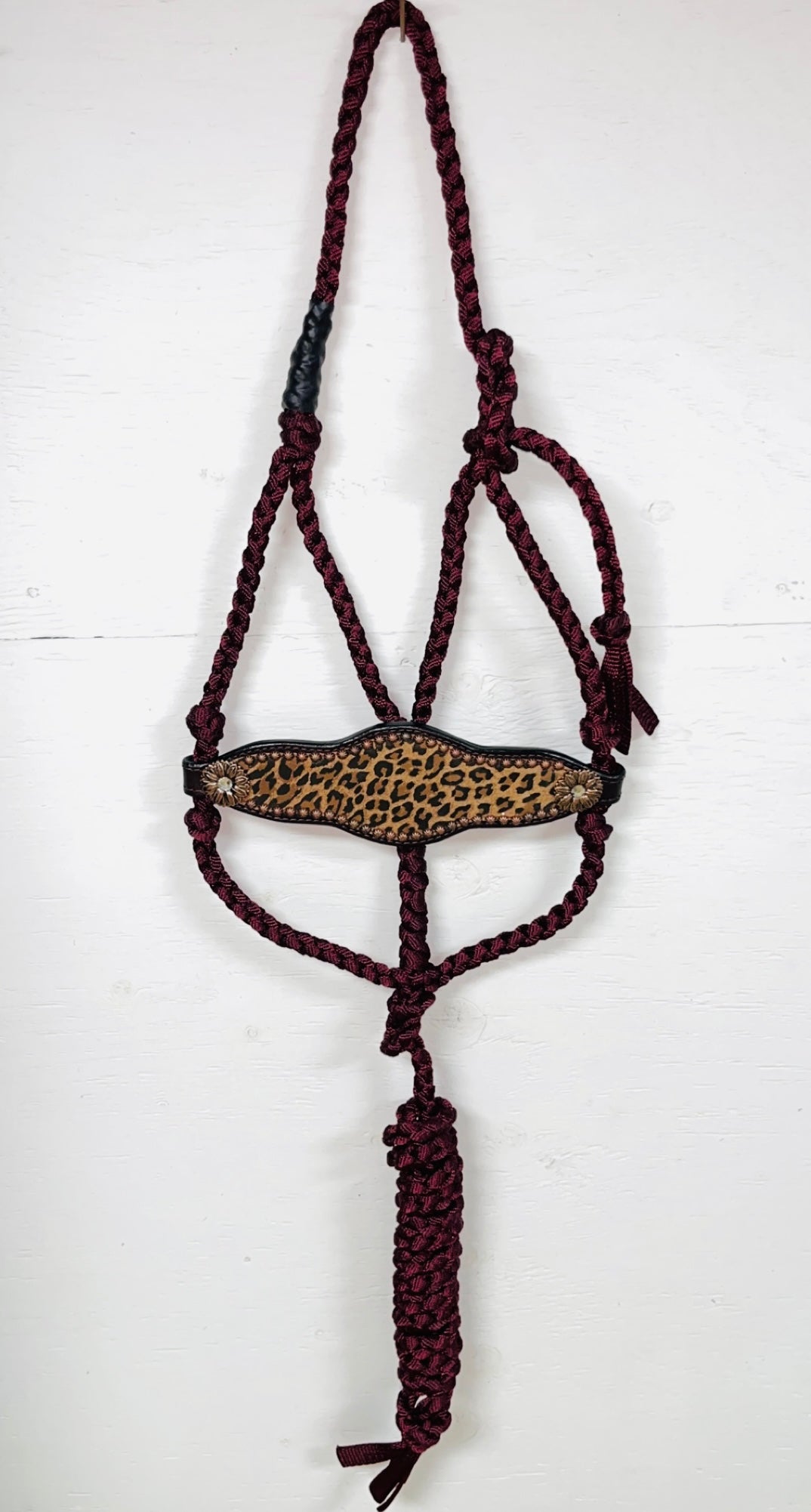 Burgundy with Leopard