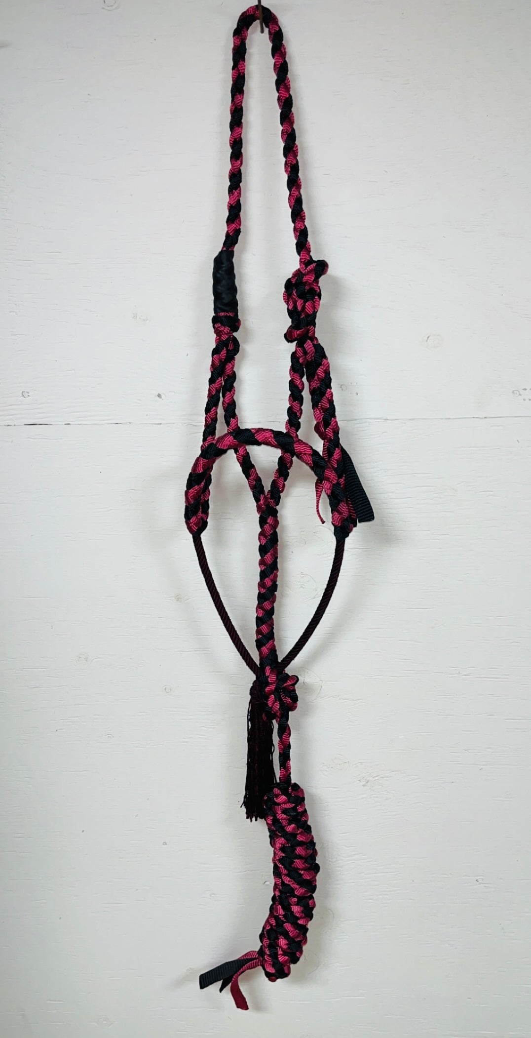 Lariat Halter