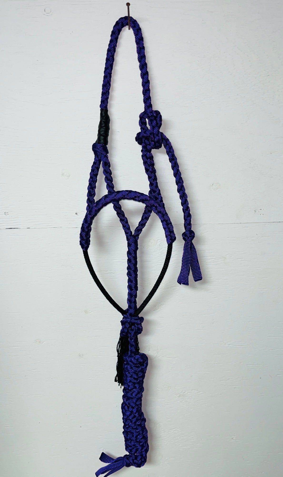 Purple and Black Lariat