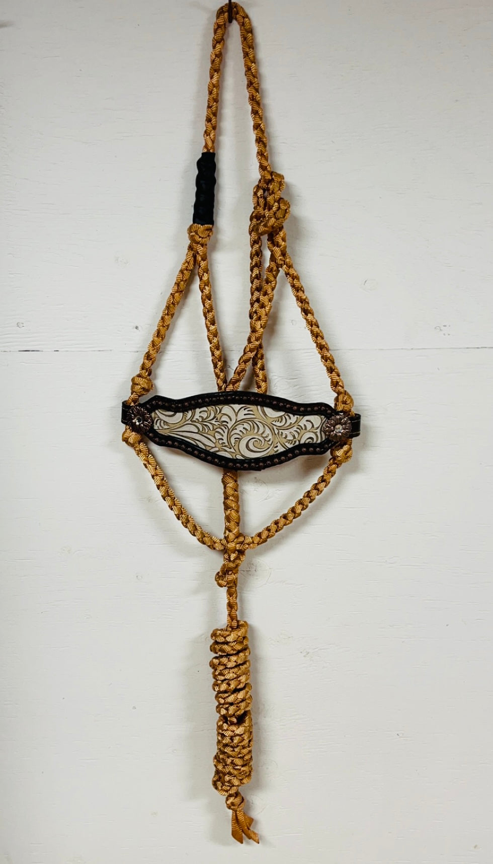 Bronc Halter