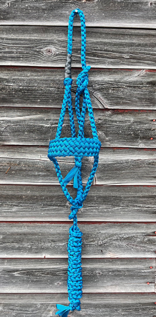 Royal Blue Regular