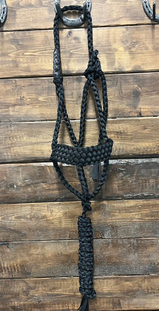 Black Regular