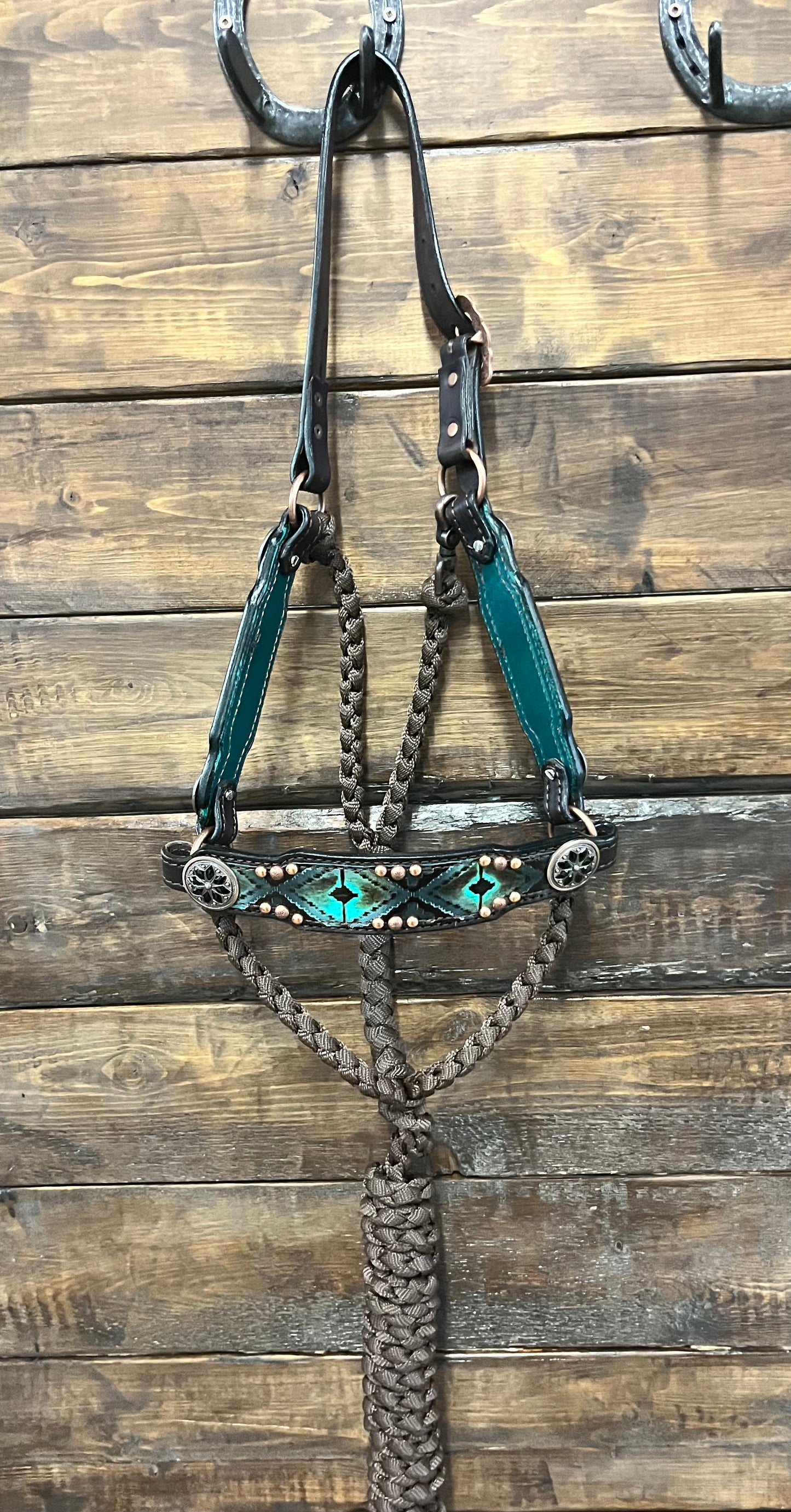 Navajo Bronc Hybrid