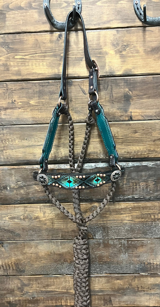 Navajo Bronc Hybrid