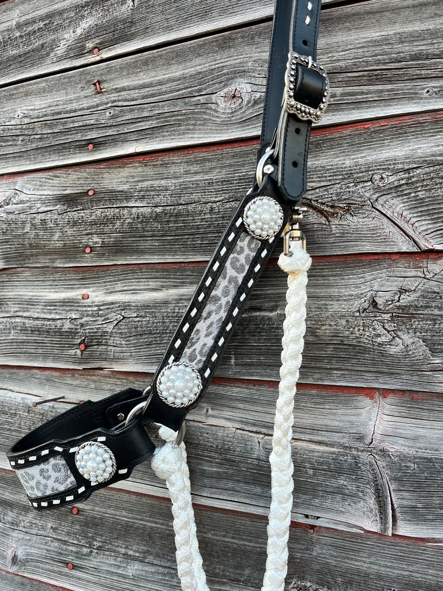 Snow Leopard Bronc Hybrid