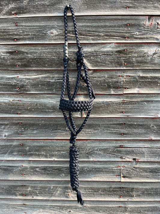 Navy Regular