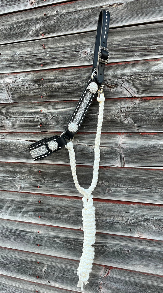 Snow Leopard Bronc Hybrid