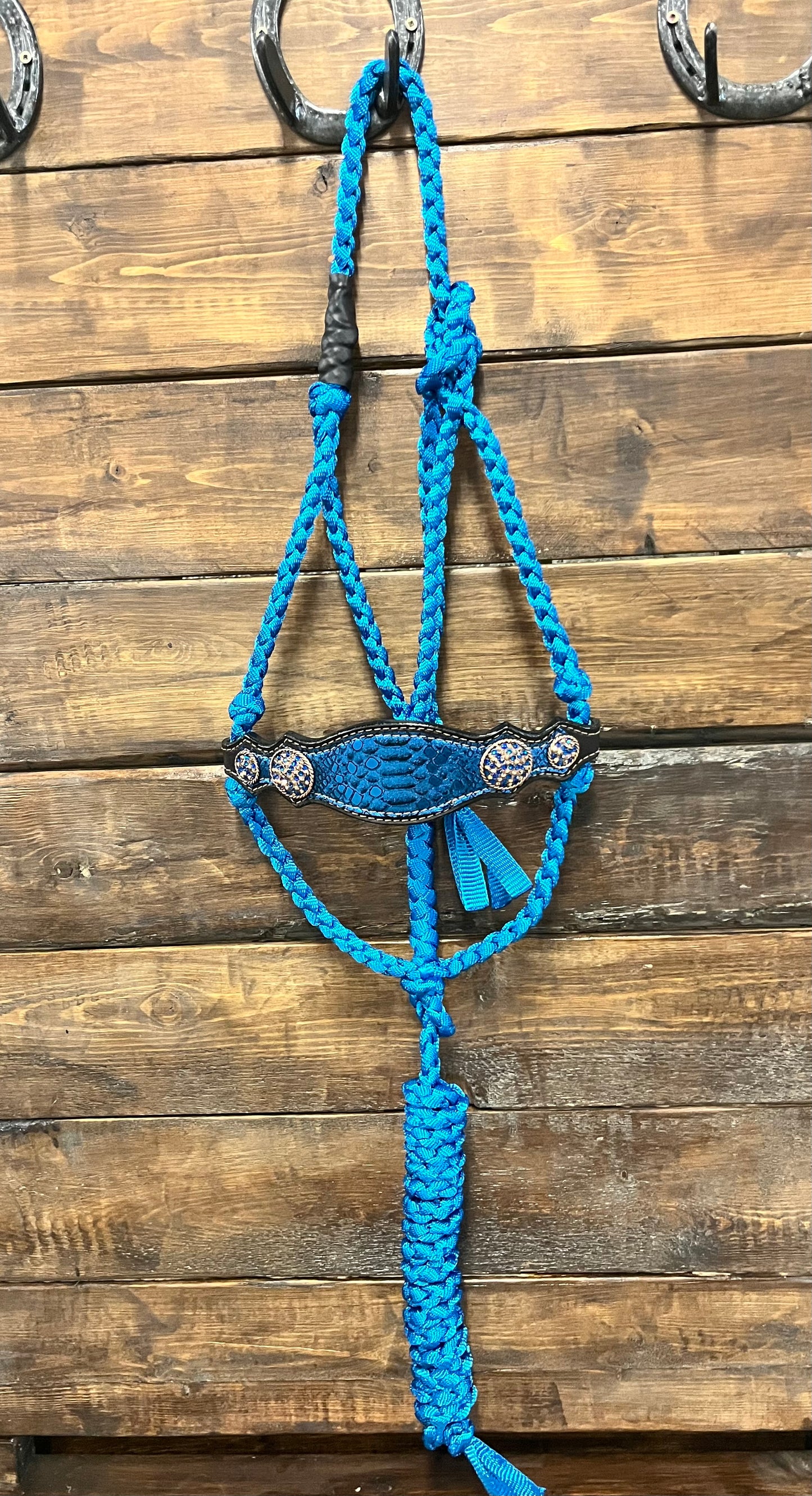Royal Blue Bronc