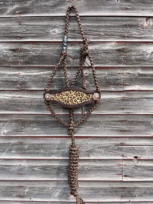 Brown Leopard Bronc