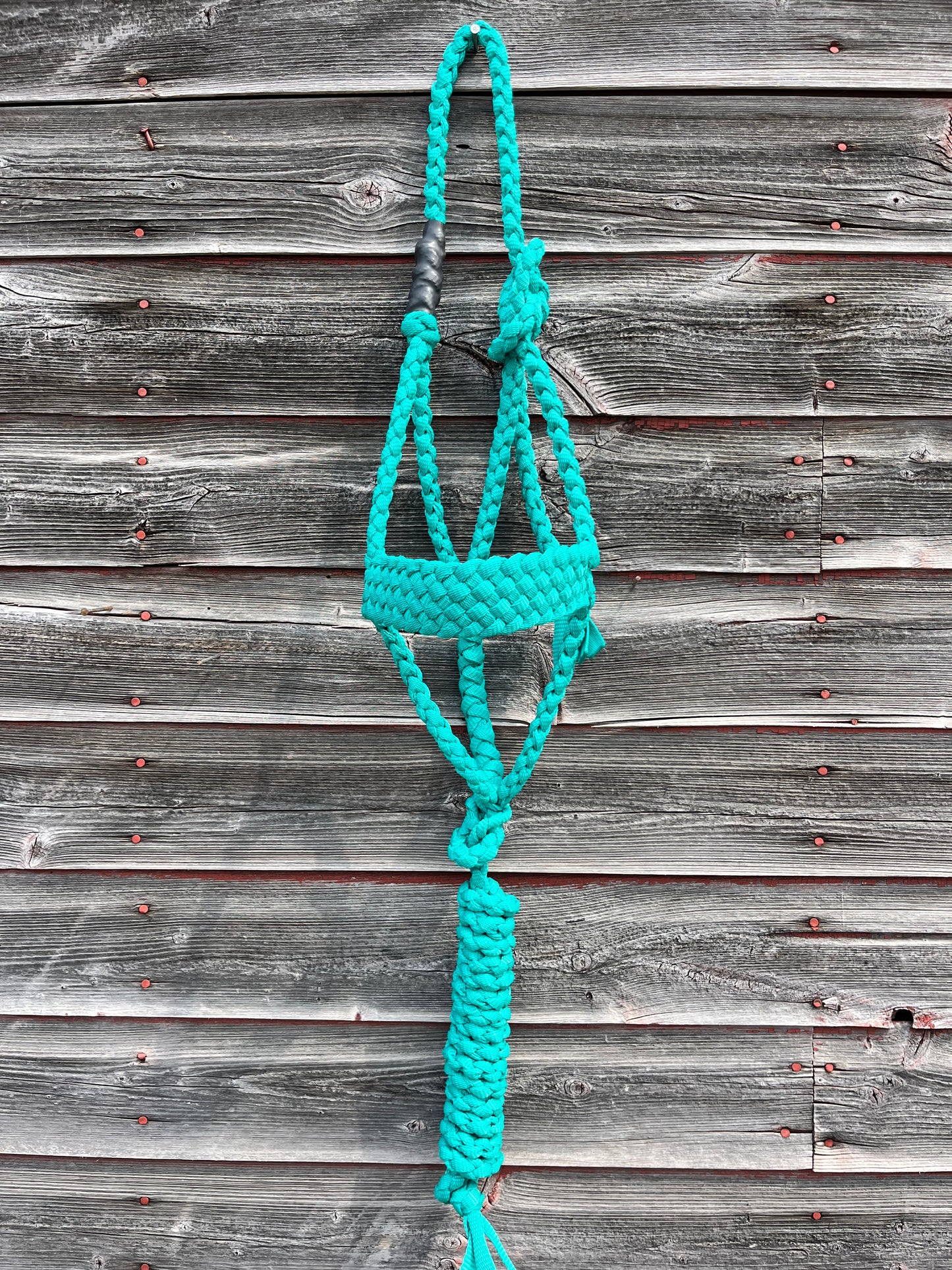 Turquoise Regular