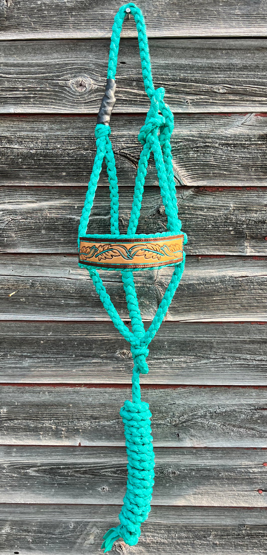 Turquoise and Feathers Regular