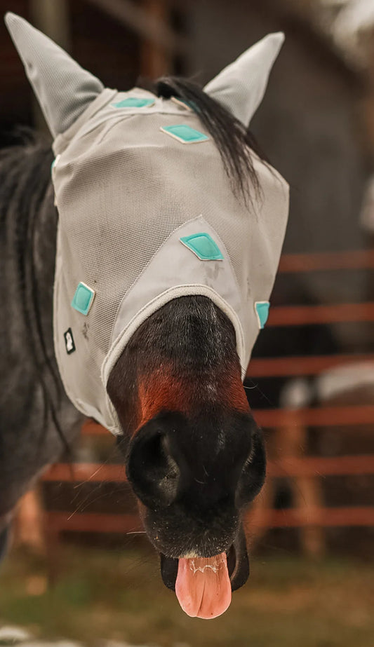 AE Magnetic Fly Mask