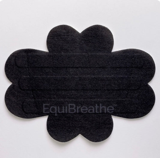 Equibreathe Nasal Strips