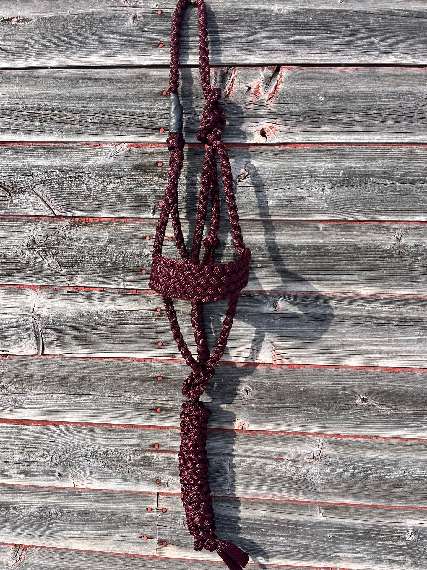 Burgundy Regular