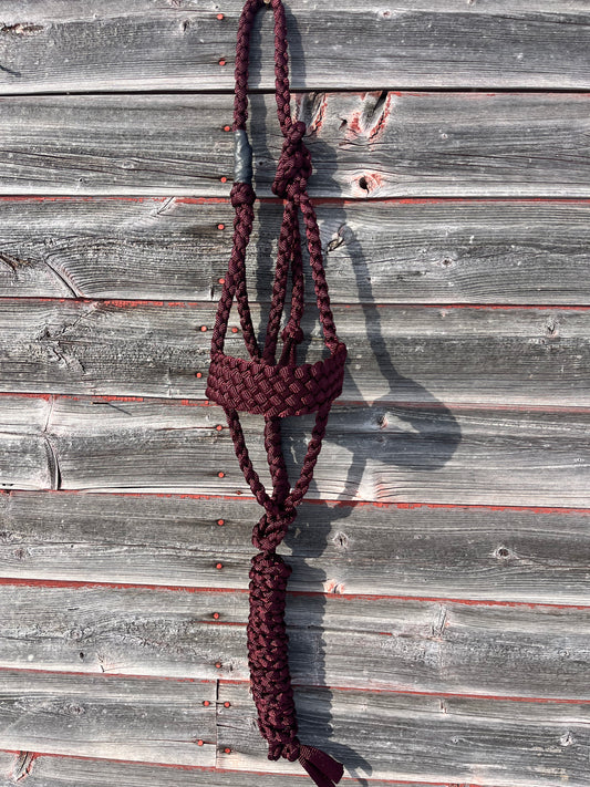 Burgundy Regular