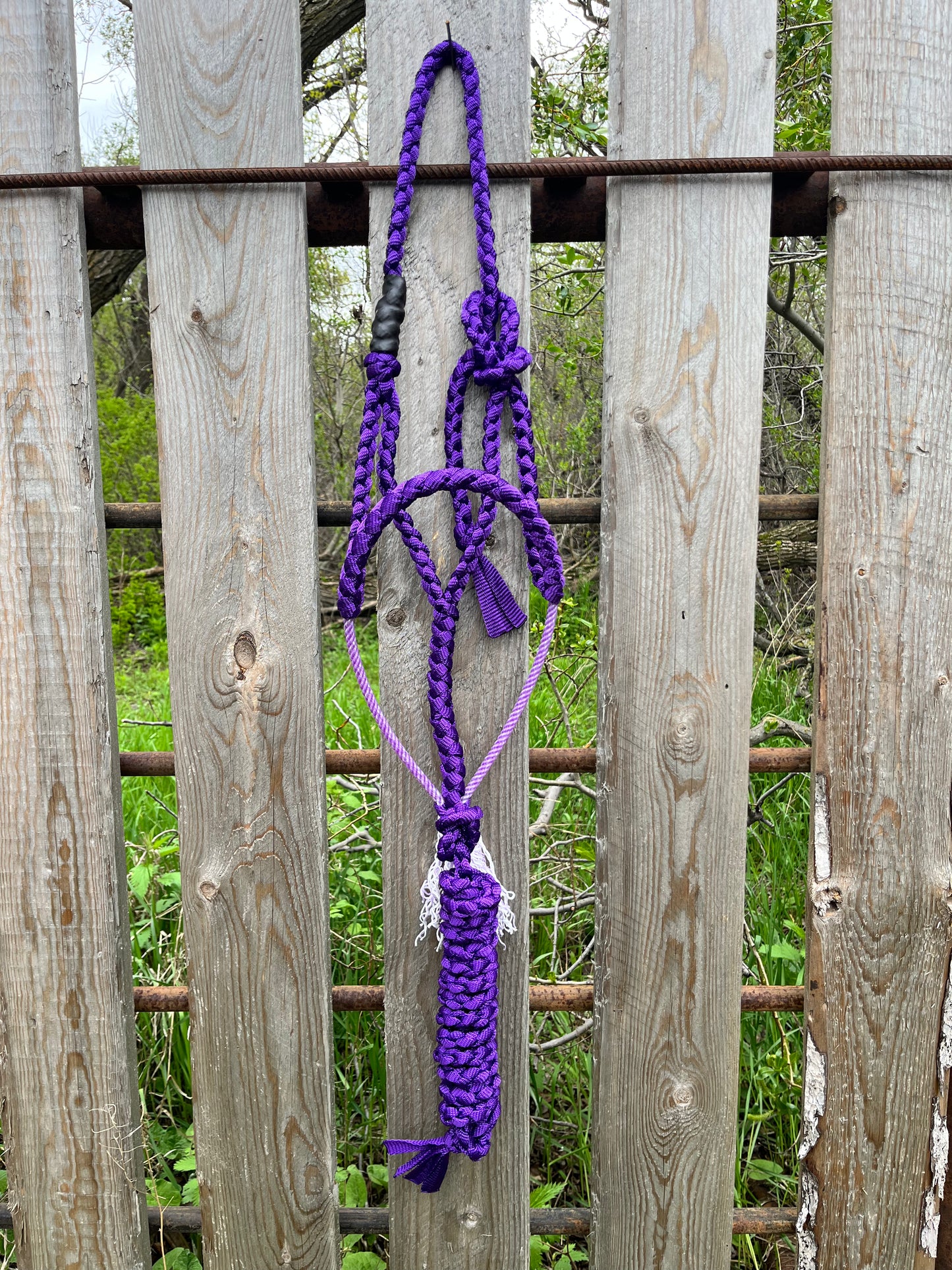 Purple Lariat