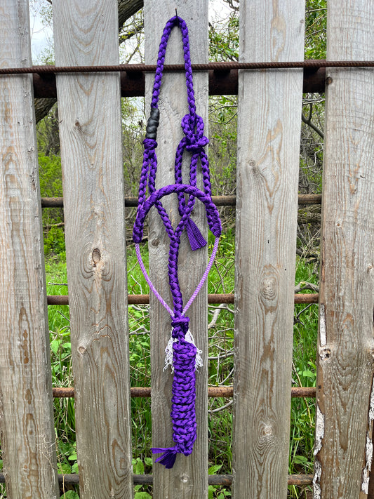 Purple Lariat