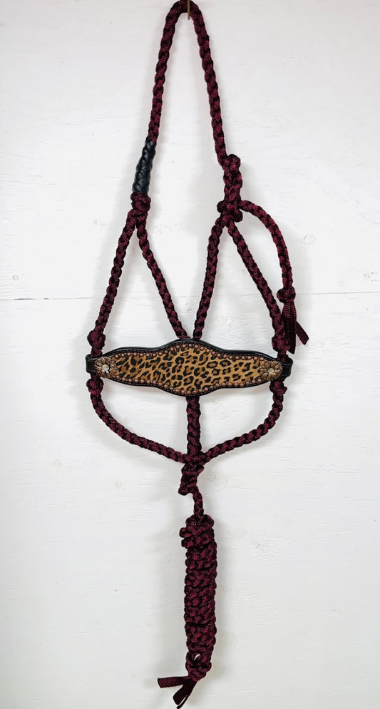 Burgundy with Leopard
