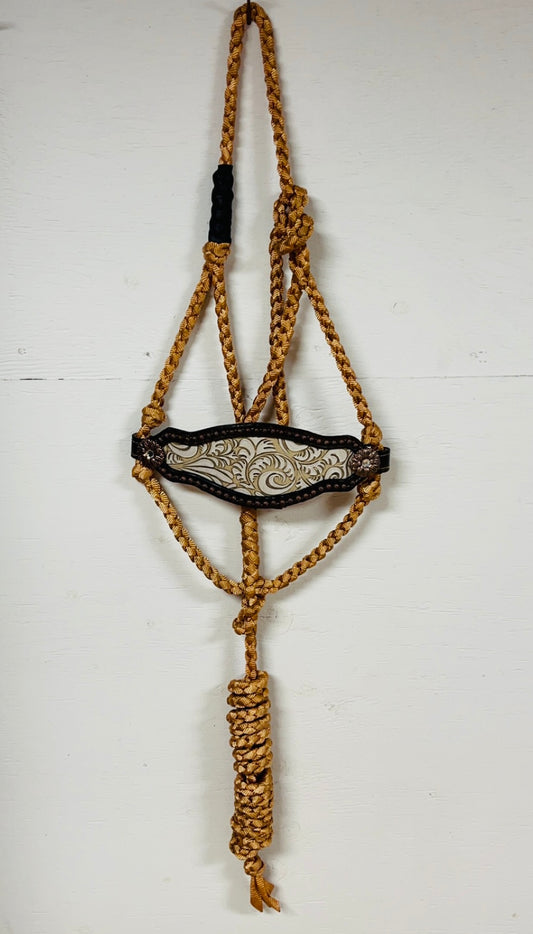 Bronc Halter