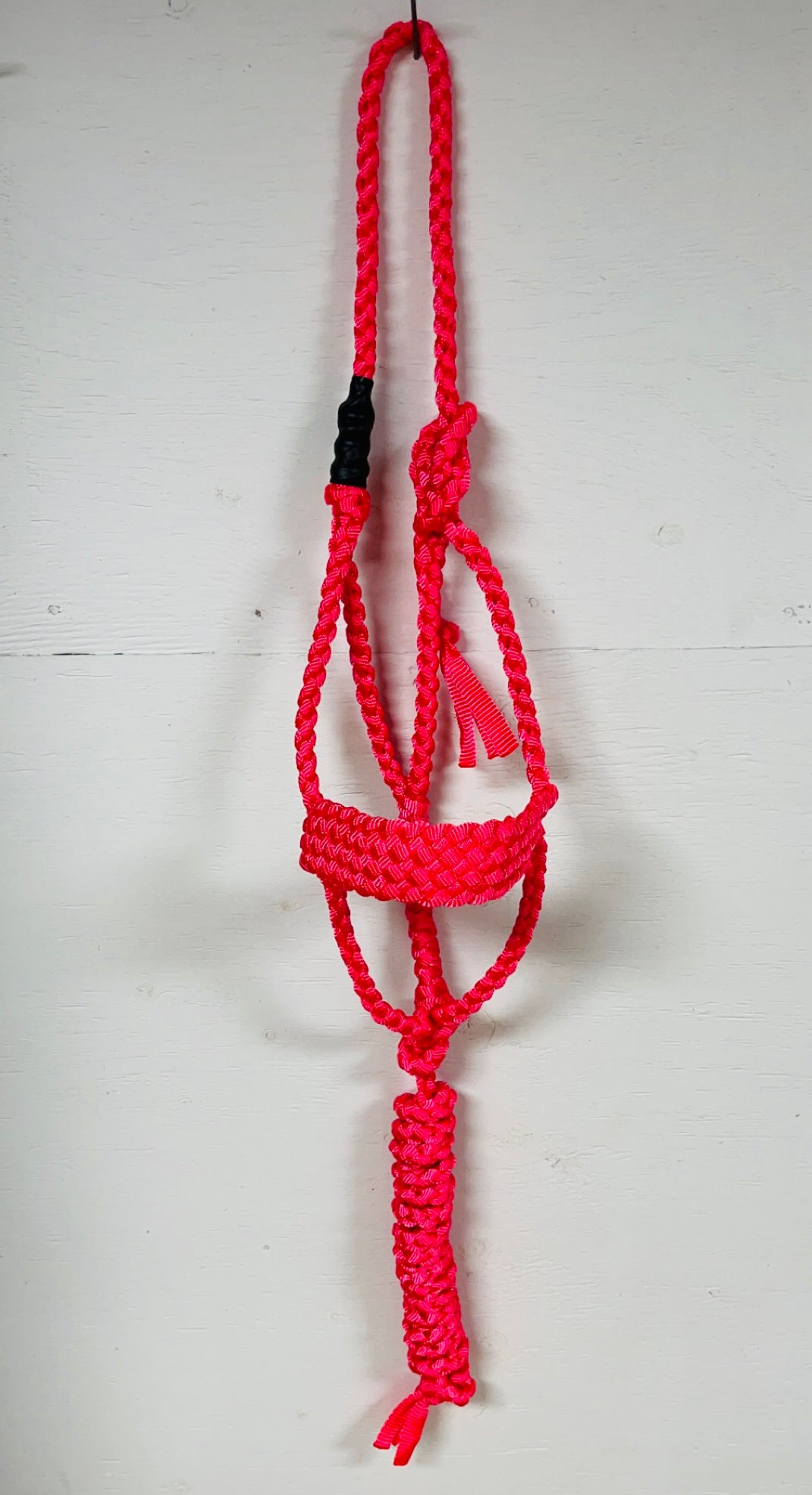 Pink Regular Halter