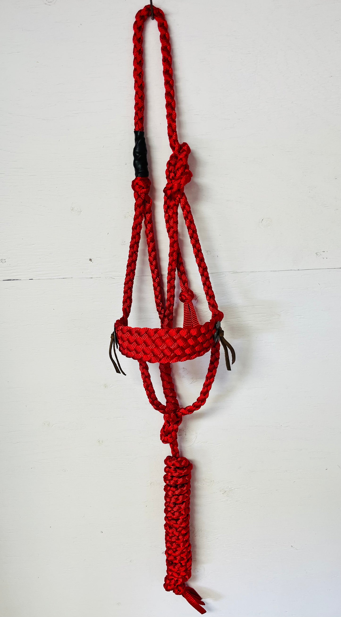 Red Thunderbird Halter